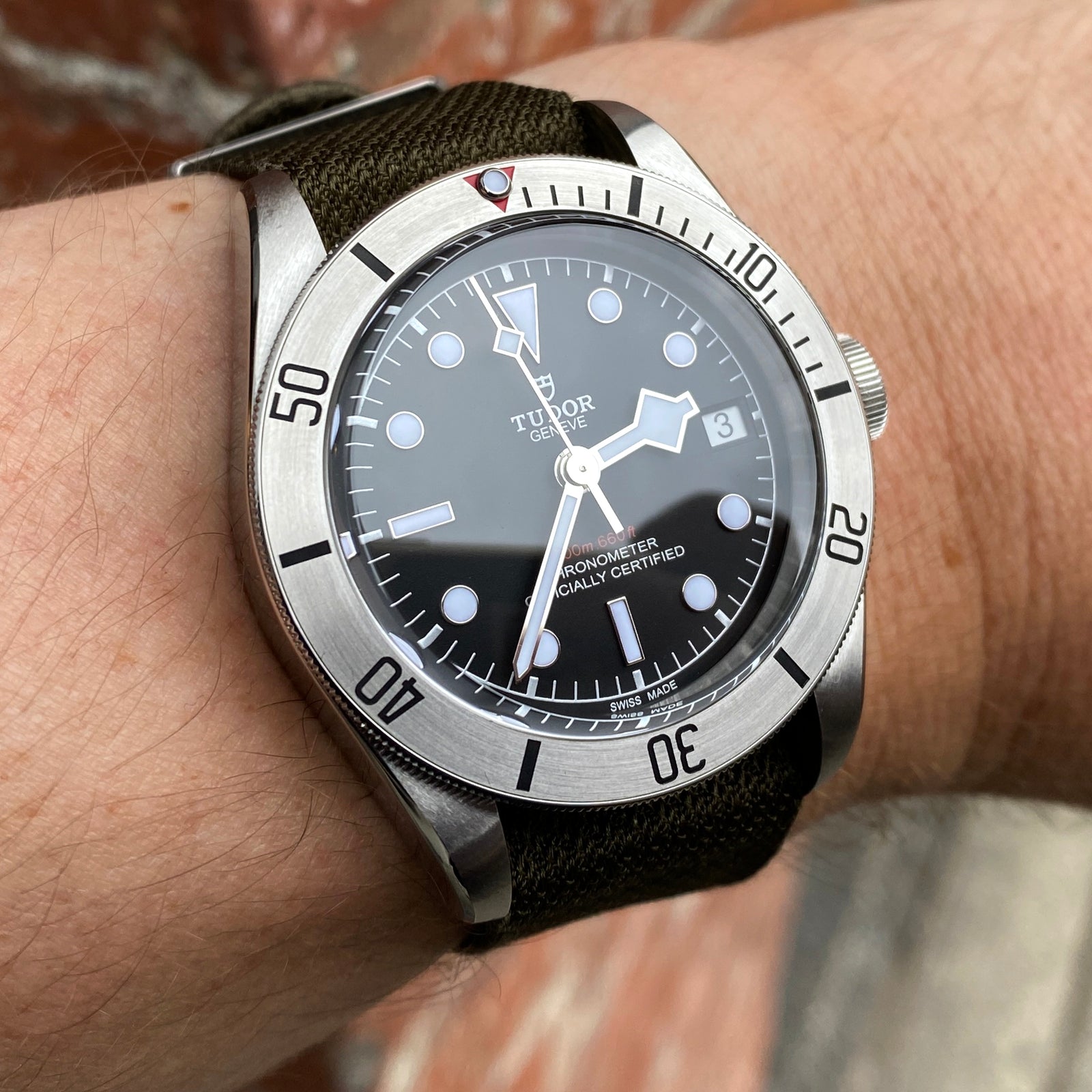 Tudor - Black Bay (Steel Bezel) – Roldorf & Co.