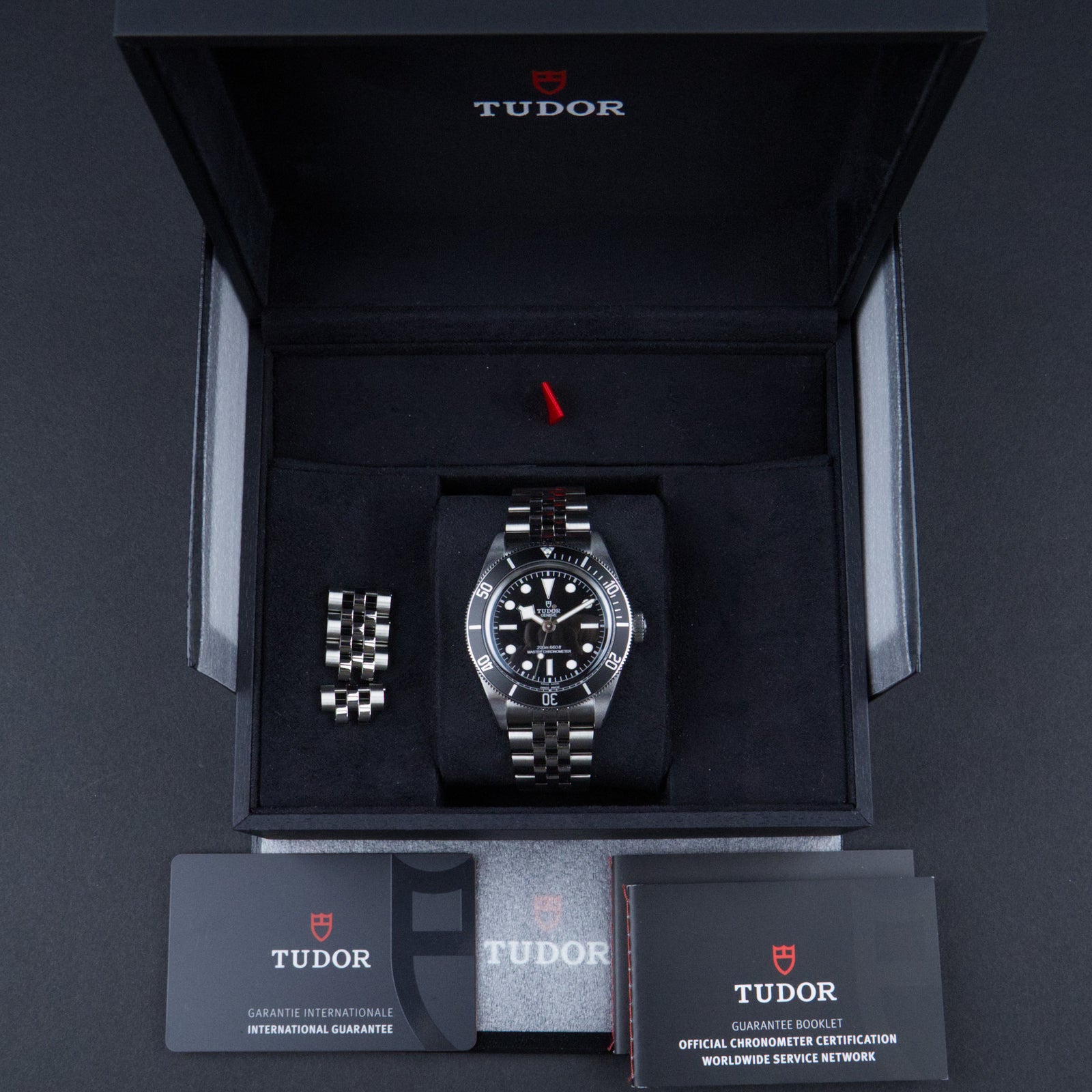 Tudor - Black Bay 41 (Monochrome)