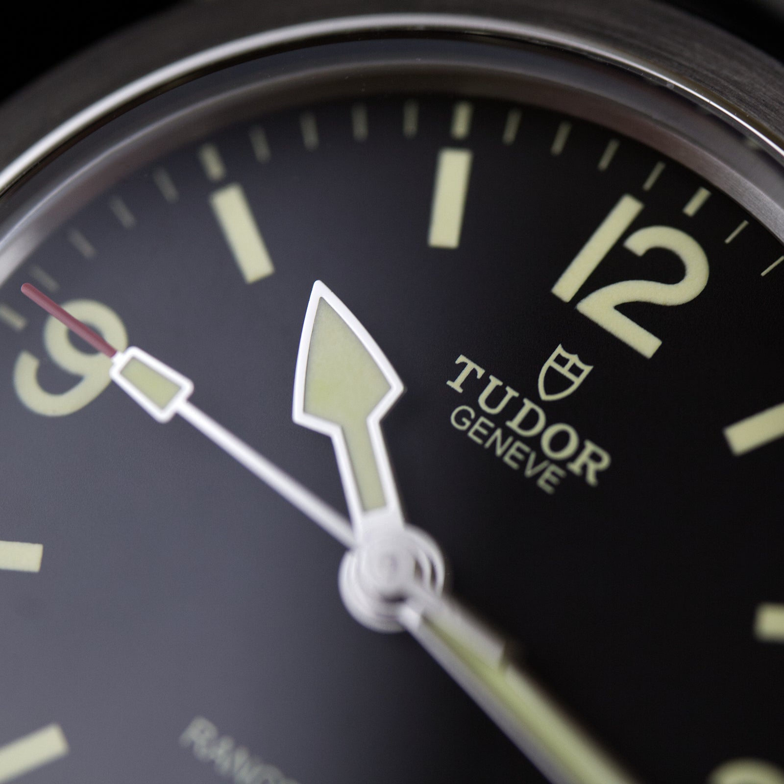 Tudor - Ranger