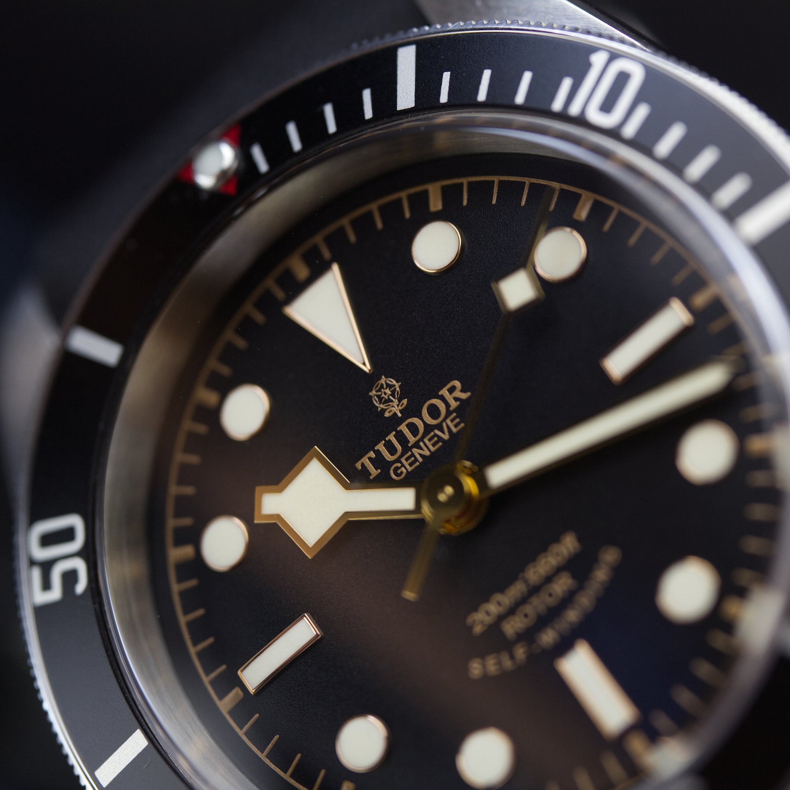 Tudor - Black Bay 41mm (Smiley+Rose)