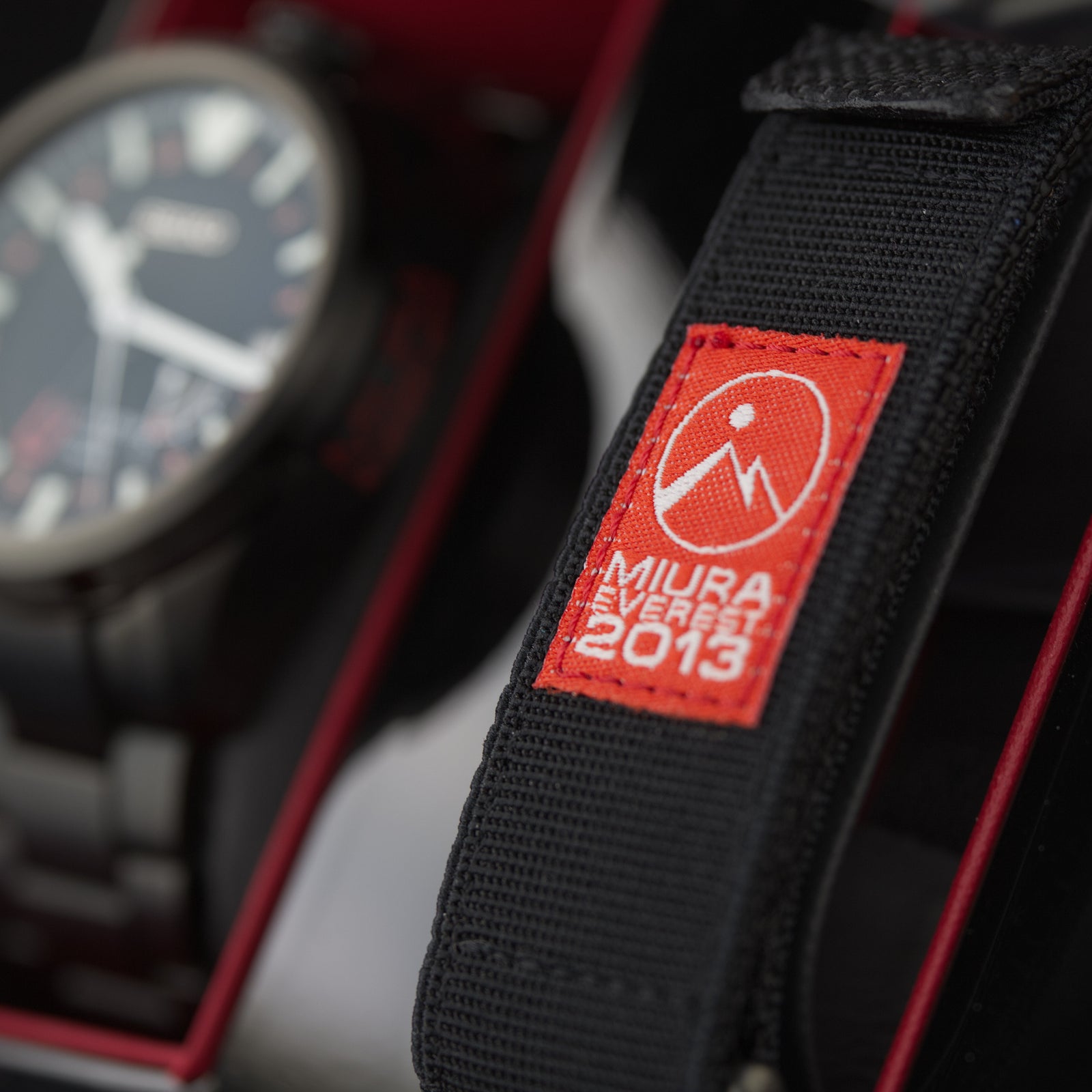 Seiko - Prospex Landmaster (2013 Limited Edition)