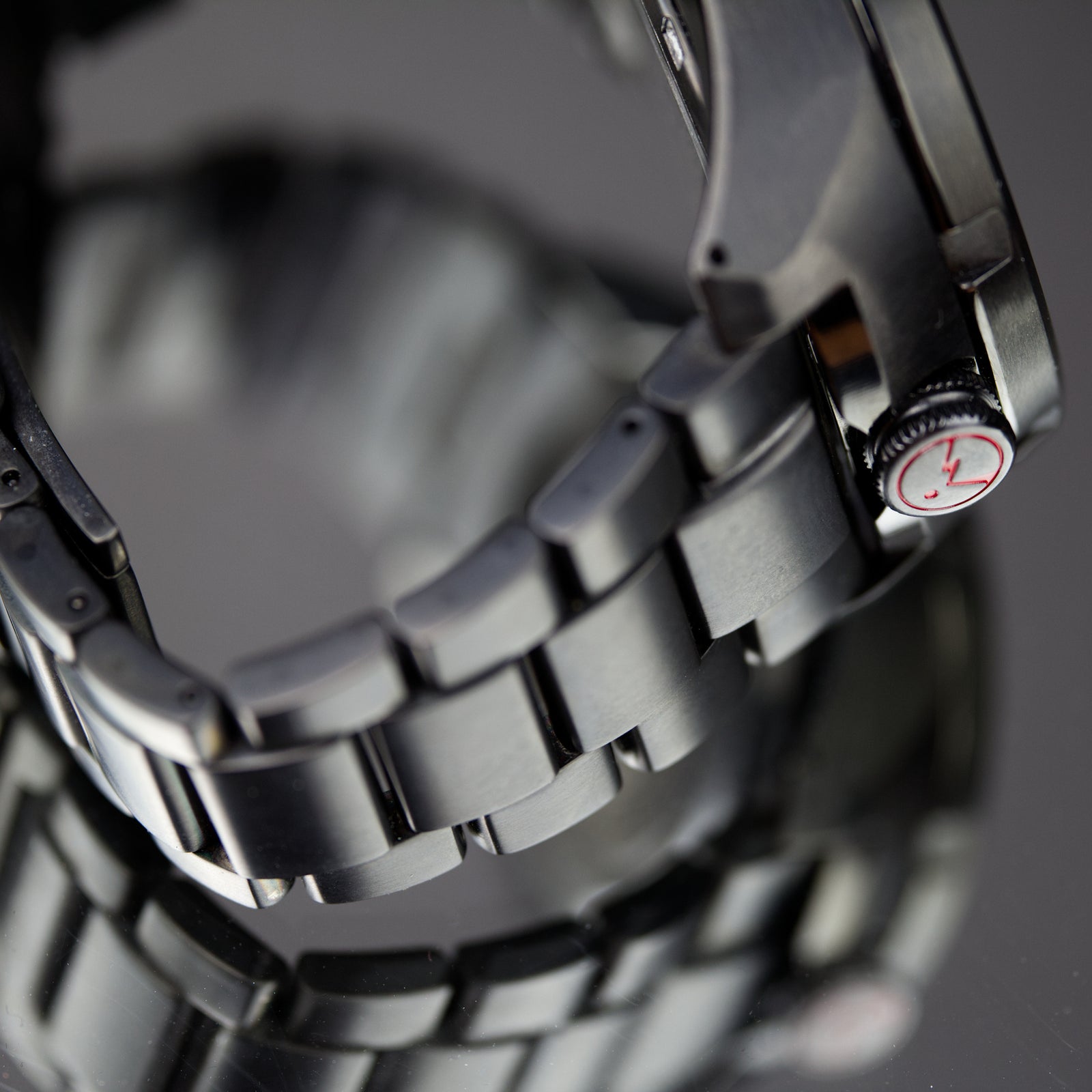 Seiko - Prospex Landmaster (2013 Limited Edition)